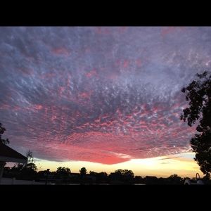 Meet your Posher, Lamar